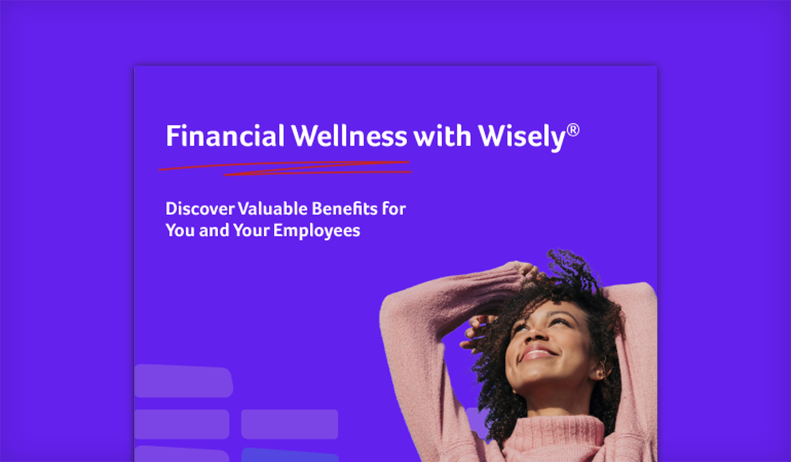 Wisely Pay Toolkit Administrator Tools